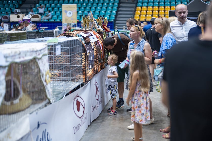 Międzynarodowa wystawa kotów rasowych w hali Orbita we Wrocławiu, 7-8 września 2024